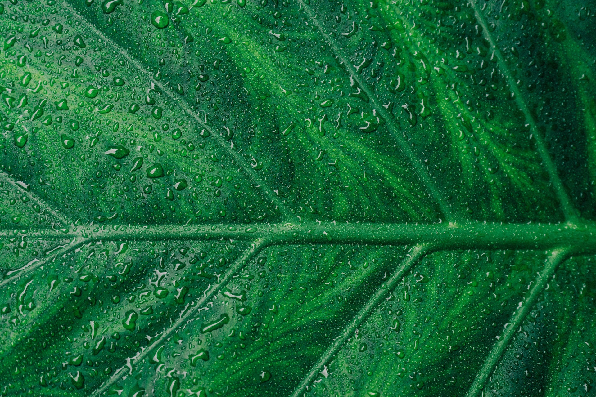 image04